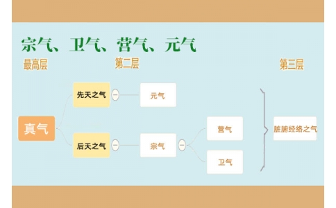 中醫(yī)里的“宗氣”、“衛(wèi)氣”、“營氣”、“元氣”